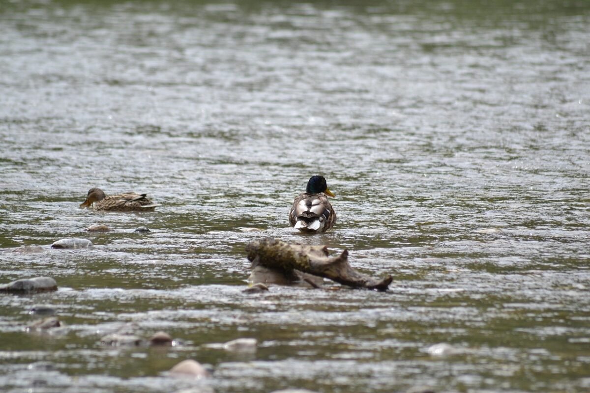 keeping your business 2