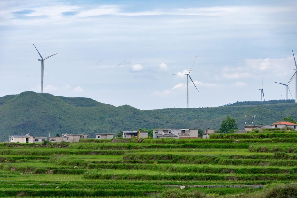 gizmogo unveiling sustainable 2