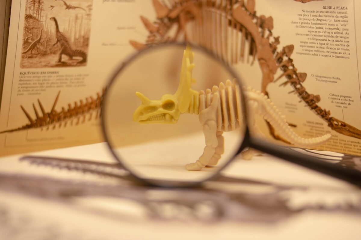 evolution byte from 4