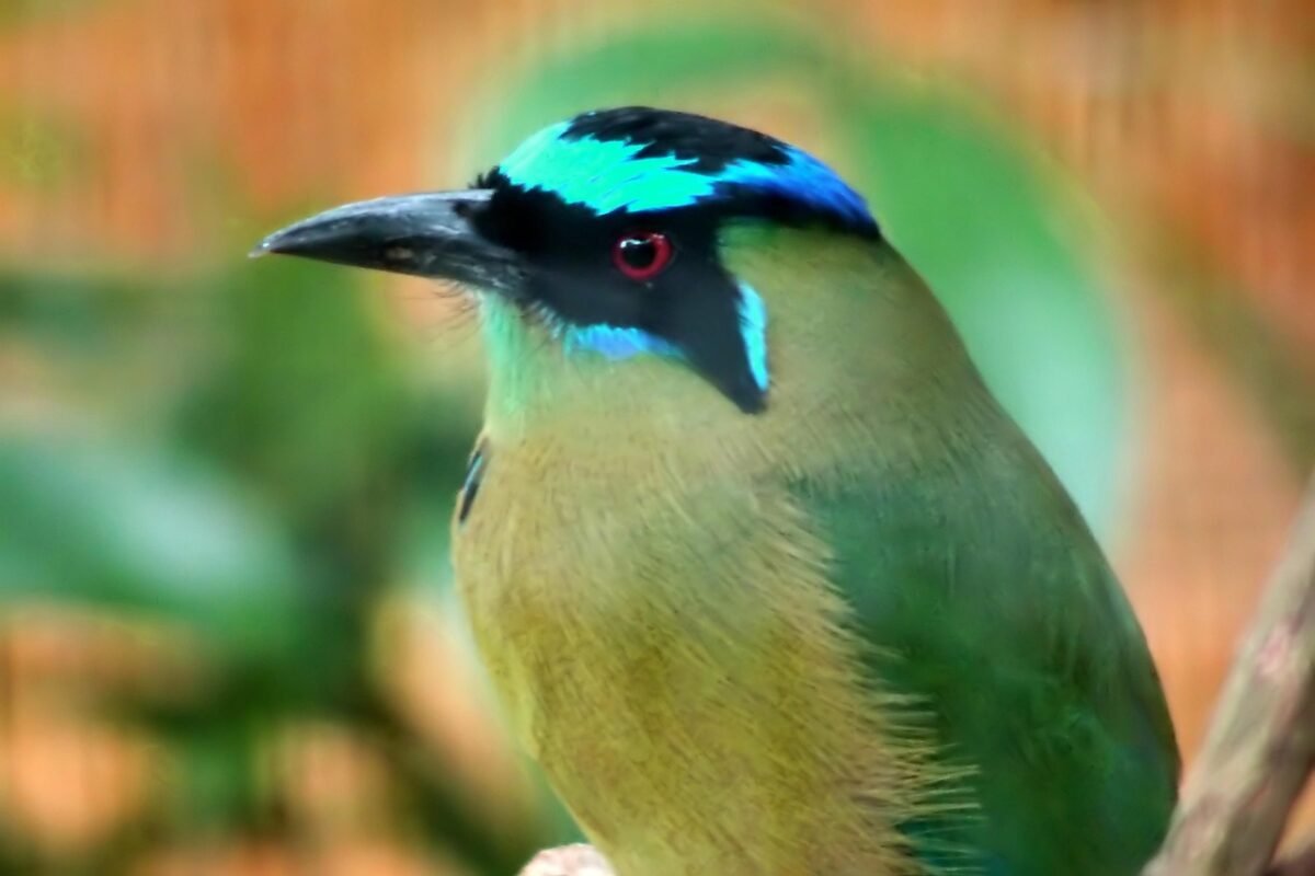 Introducing AdsEmpire