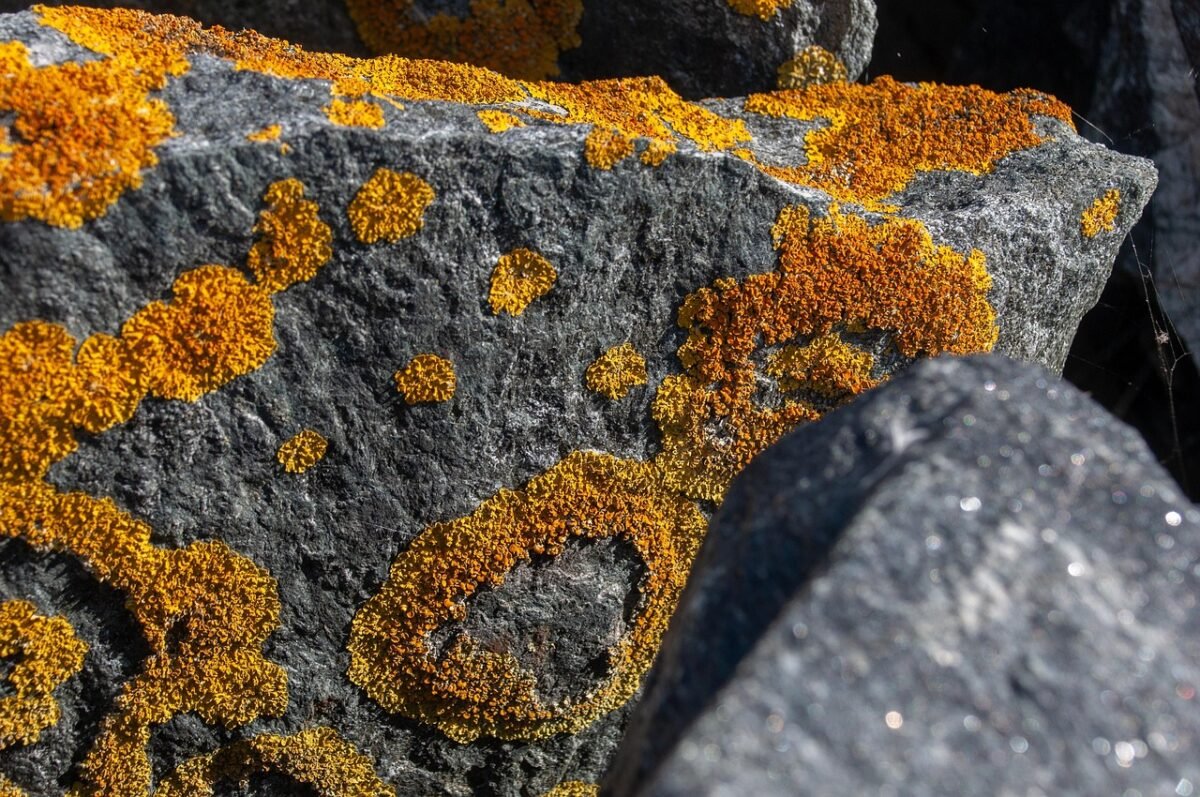 bitsgap bridging cryptocurrency 4