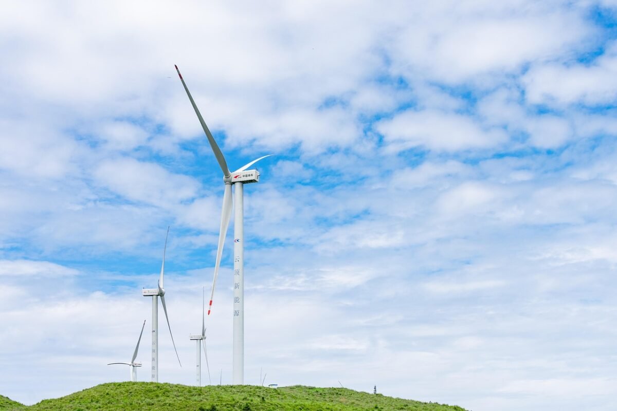 gizmogo unveiling sustainable 1