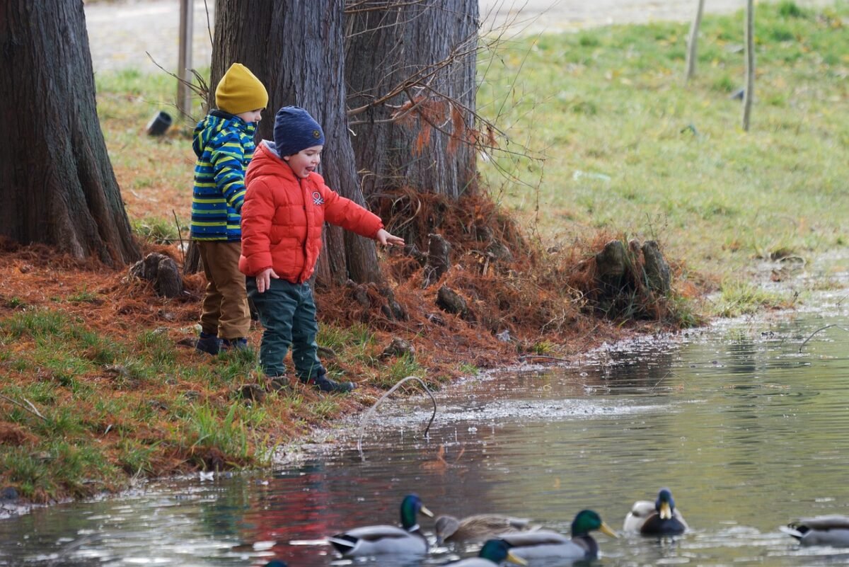 ally invest review 3