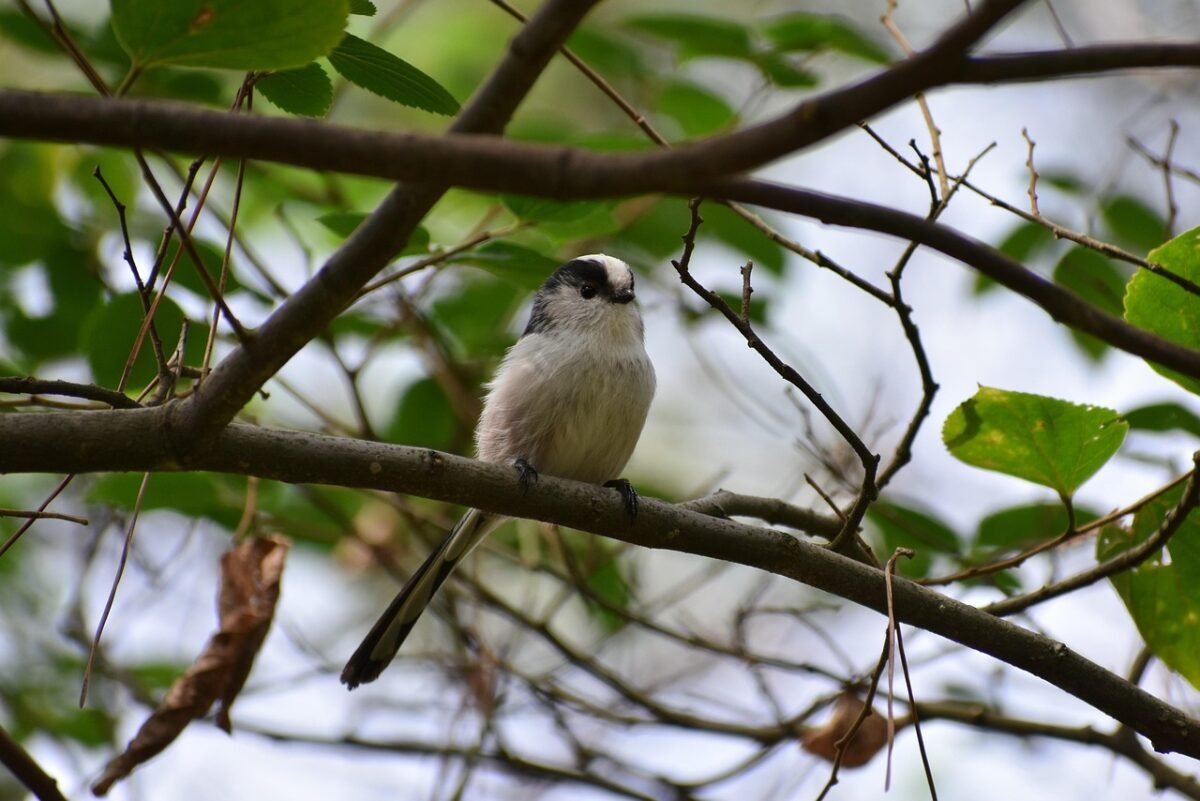 your ultimate guide 1