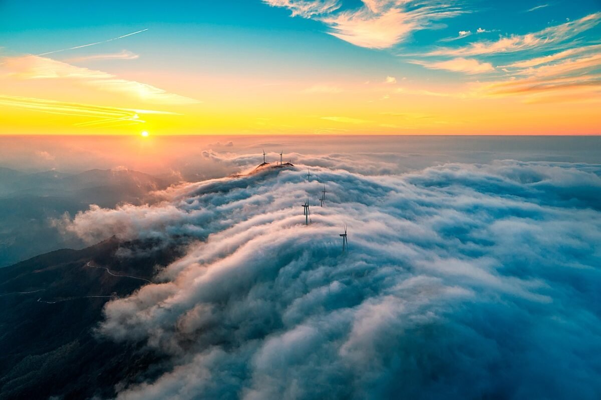 gizmogo unveiling sustainable 3