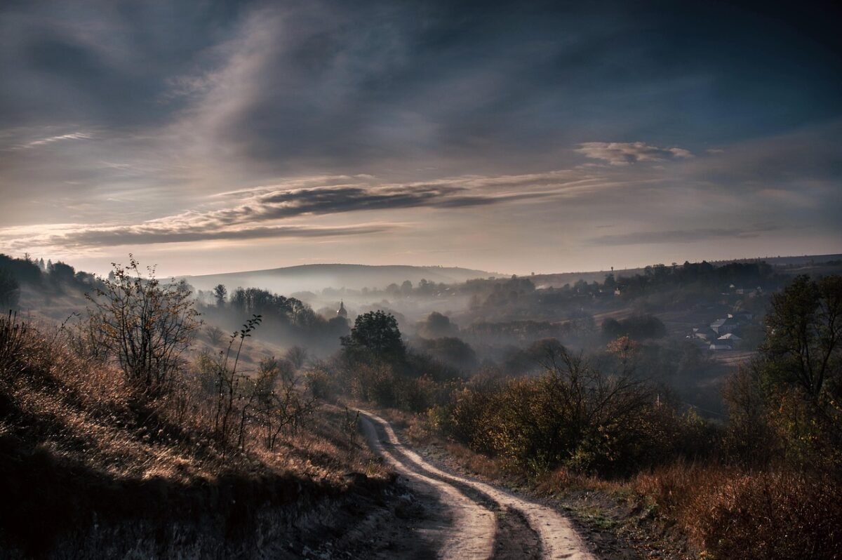 teryx elevating outdoor 2
