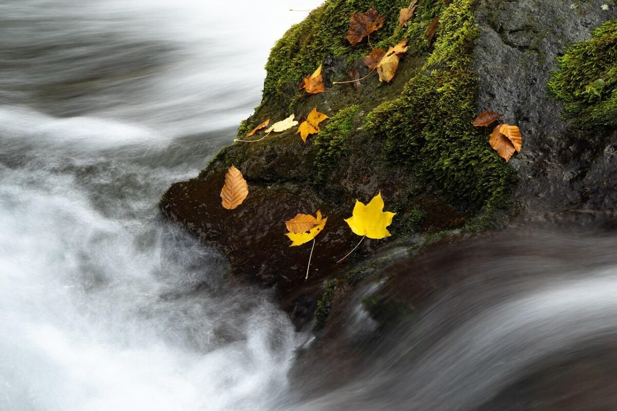 Exploring the Dynamic World of Point Blank [CPP] in RU + CIS Region