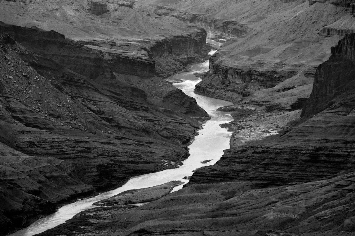 elevating black desert 1