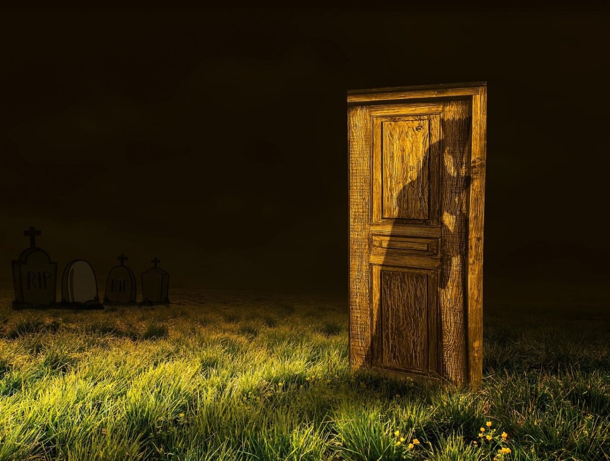 embrace shadows dark 3