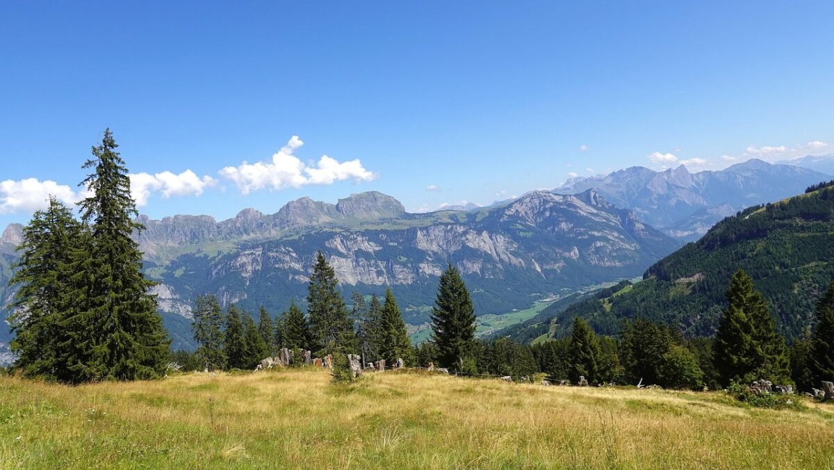 land opportunities exploring 1