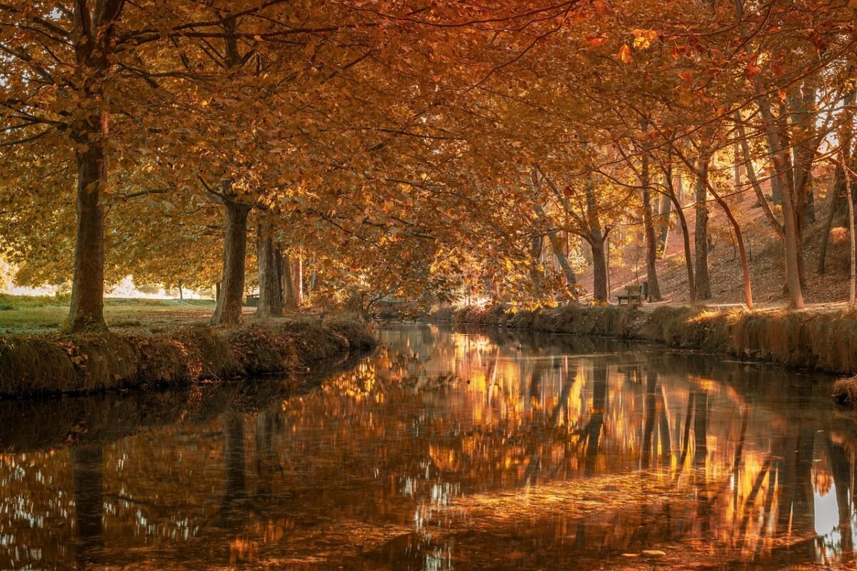 Erobere die Zeitalter in Forge of Empires: Ein Meisterwerk des Strategiespiels für DE, AT und CH