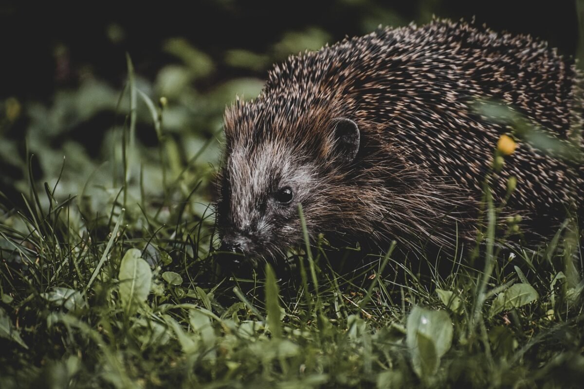 unlocking world online 2