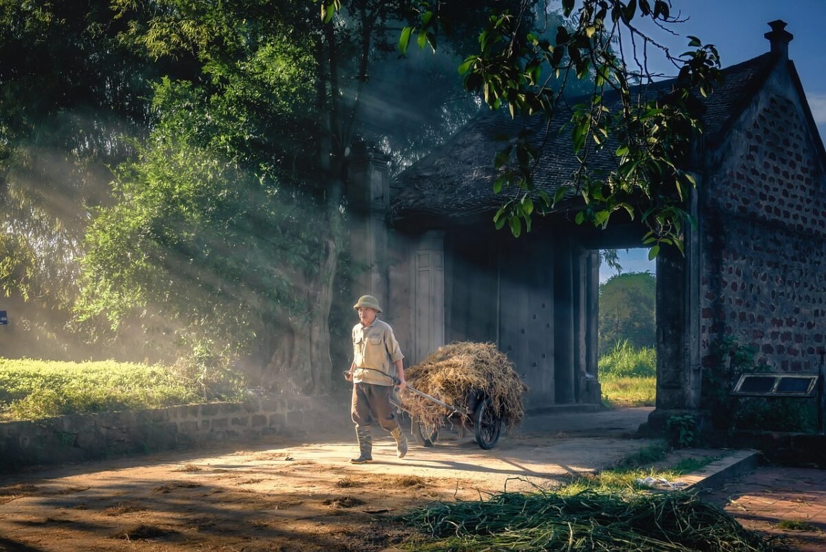 “CreditMantri.com: Your Gateway to Comprehensive Financial Services”