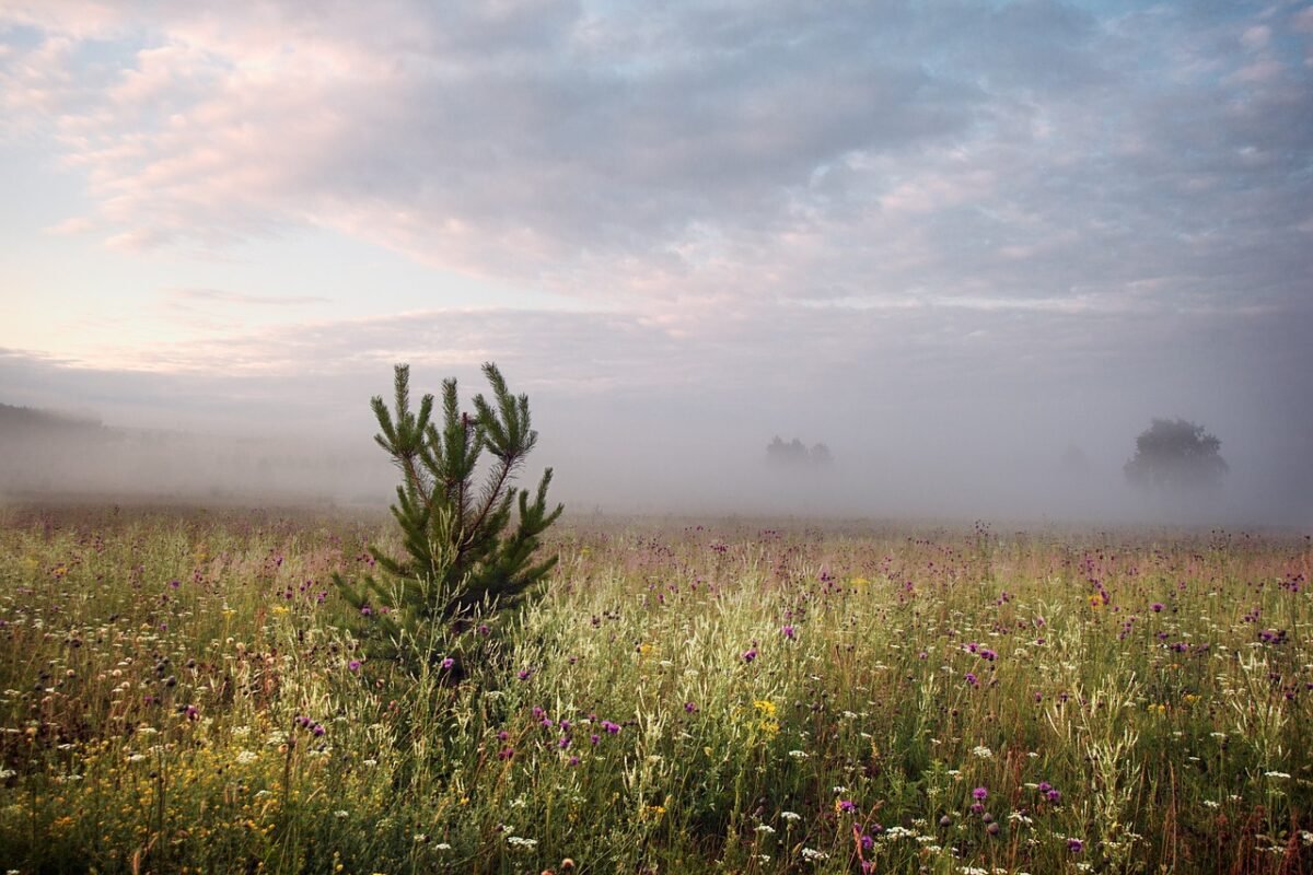 motley fool unlocking 1