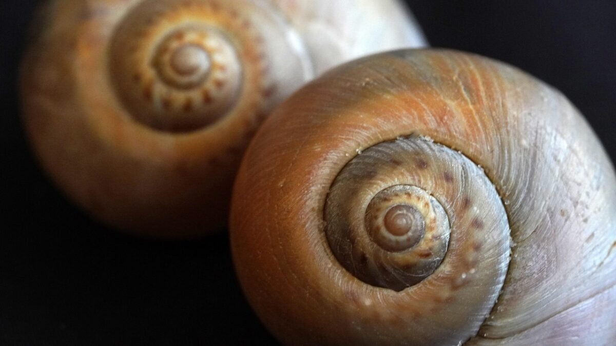 navigating seas warfare 4