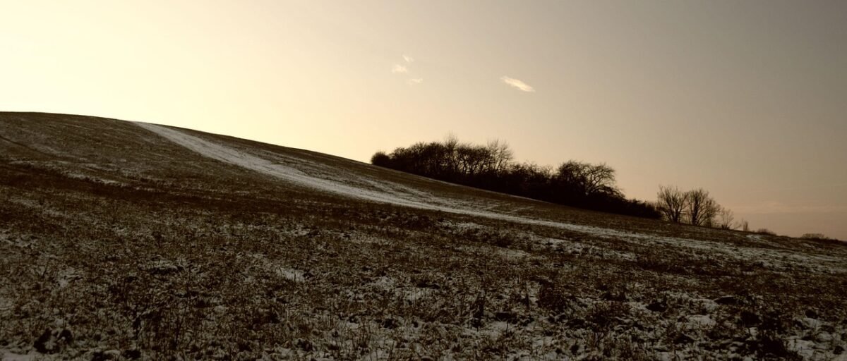 test accounts account 1