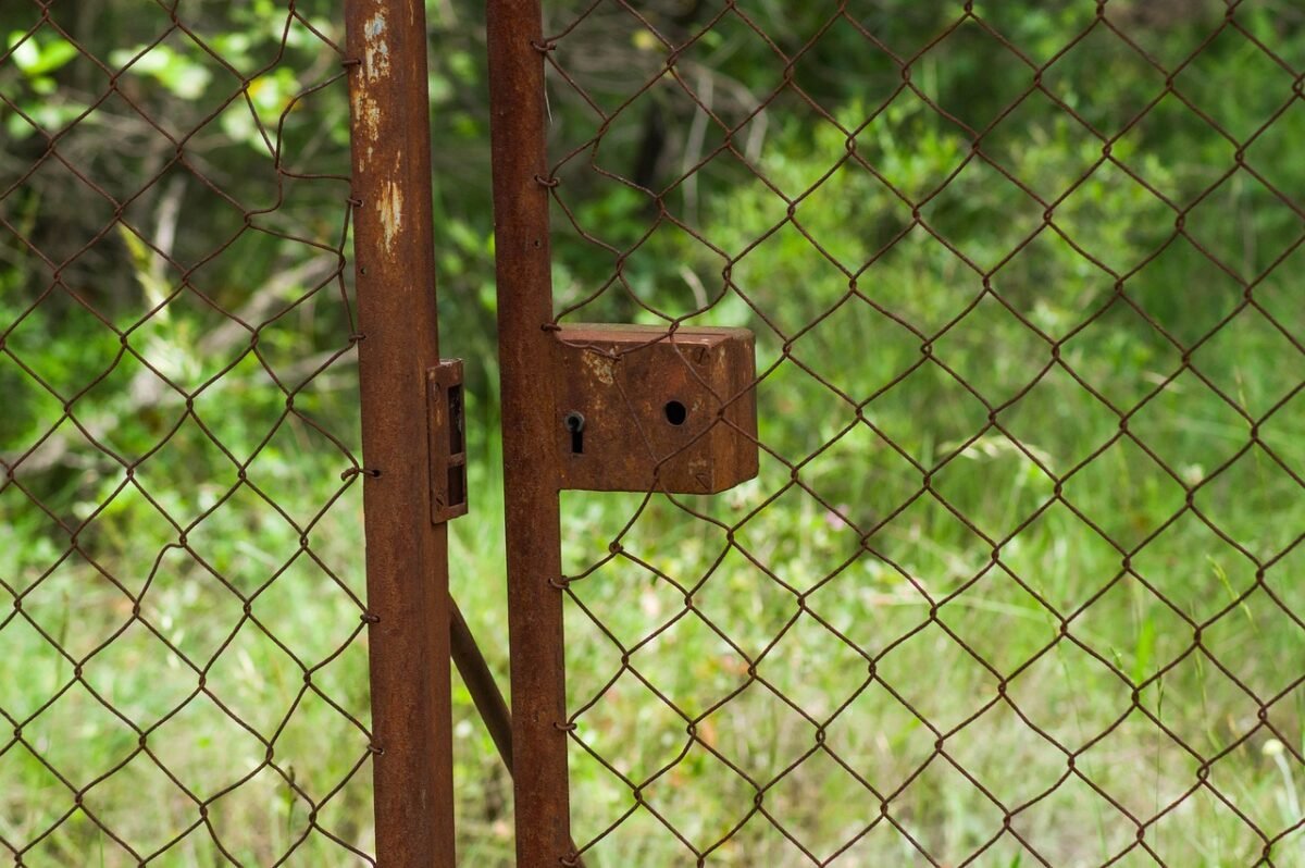 nurx revolutionizing access 4